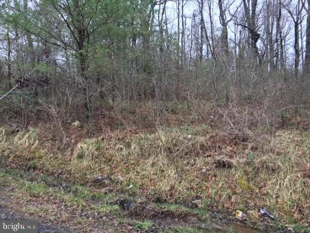 BELL (TOTAL OF FIVE (5) LOTS) RD, Lanham, MD 20706