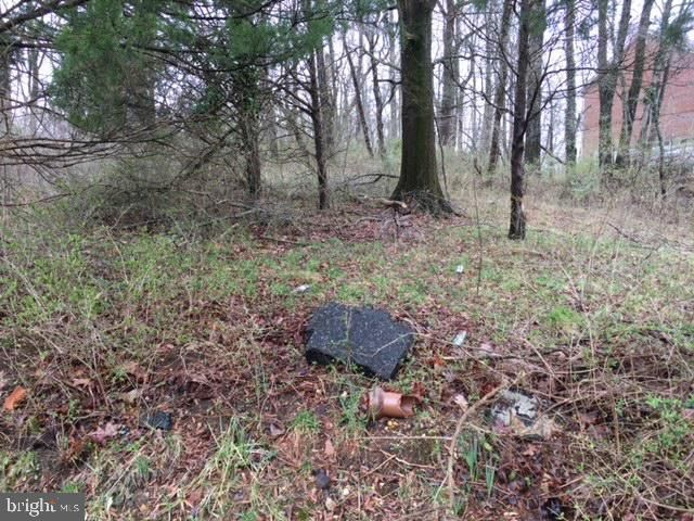 BELL (TOTAL OF FIVE (5) LOTS) RD, Lanham, MD 20706