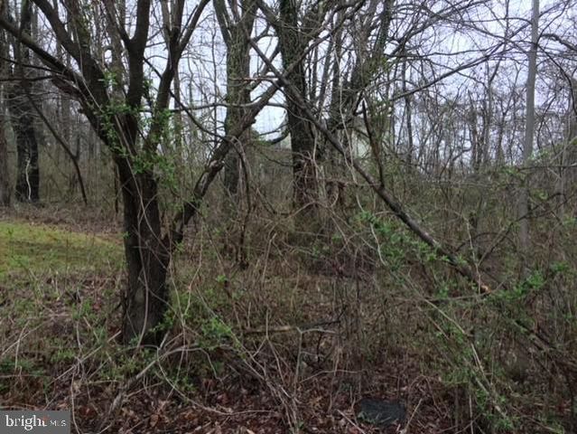 BELL (TOTAL OF FIVE (5) LOTS) RD, Lanham, MD 20706