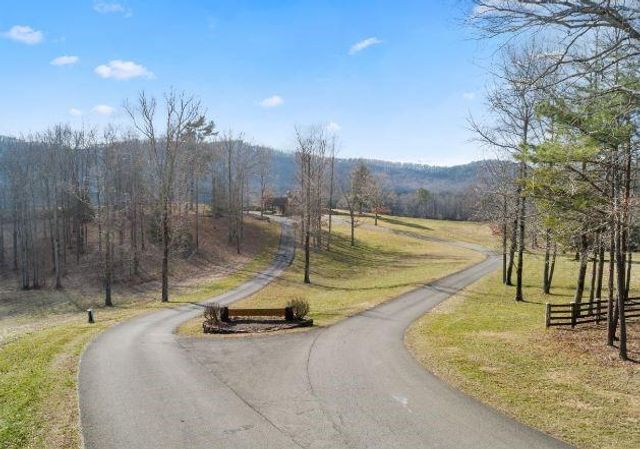 232 Andes Ridge, Ellijay, GA 30540