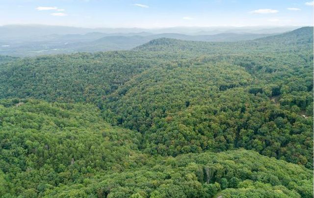 232 Andes Ridge, Ellijay, GA 30540