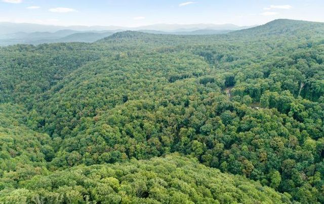 232 Andes Ridge, Ellijay, GA 30540