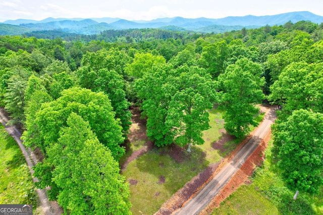 C4 Briar Woods Lane, Blue Ridge, GA 30513