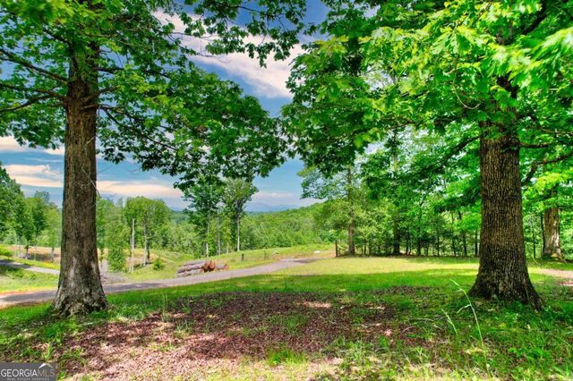 C4 Briar Woods Lane, Blue Ridge, GA 30513