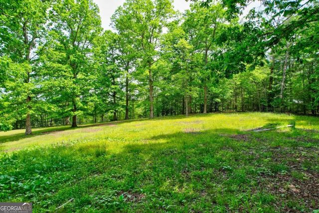 C4 Briar Woods Lane, Blue Ridge, GA 30513