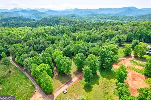 C4 Briar Woods Lane, Blue Ridge, GA 30513