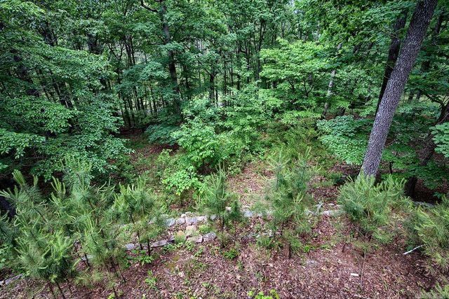 44 Sur de Curso Way, Hot Springs Village, AR 71909