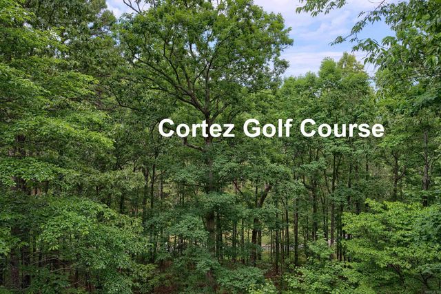 44 Sur de Curso Way, Hot Springs Village, AR 71909