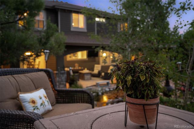 10676 Chandon Place, Littleton, CO 80126
