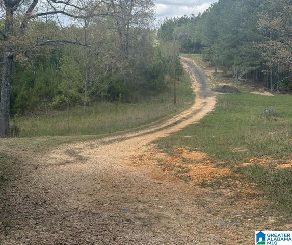 126 LONE STAR LANE, West Blocton, AL 35184