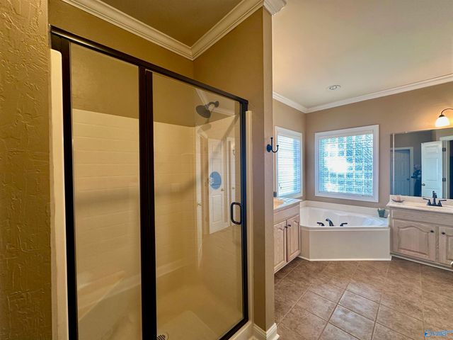 102 Rathdoon Court, Madison, AL 35757