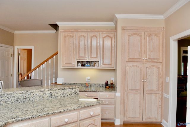 102 Rathdoon Court, Madison, AL 35757