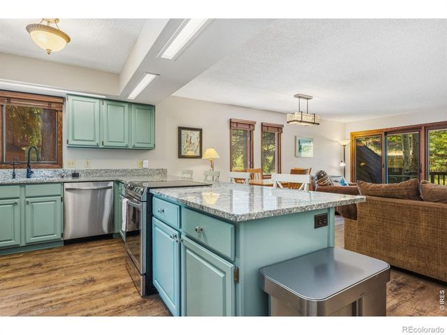 640 Macgregor Avenue 8, Estes Park, CO 80517
