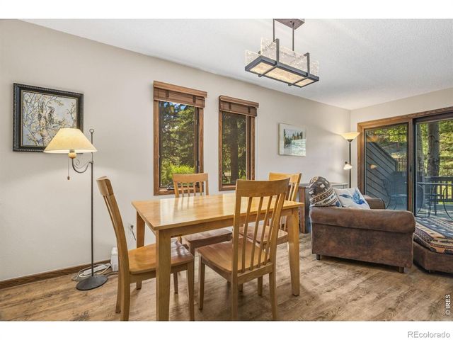 640 Macgregor Avenue 8, Estes Park, CO 80517
