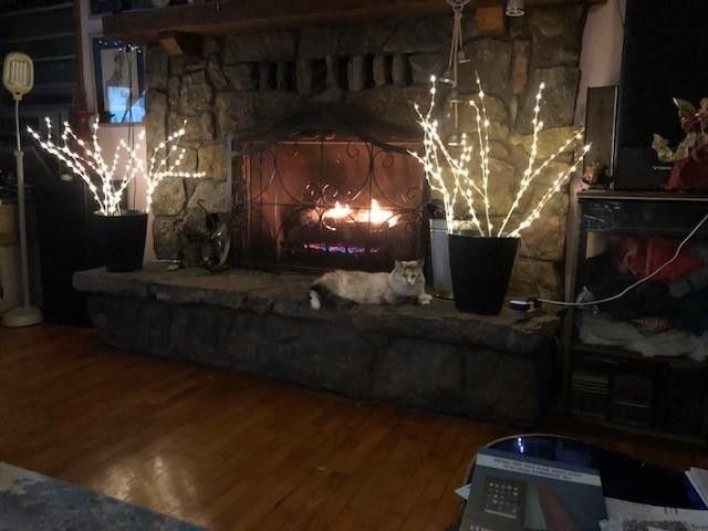 2308 Ar-187, Eureka Springs, AR 72631