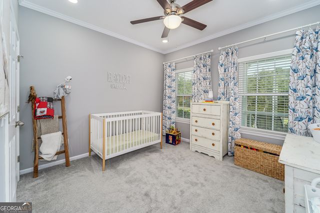 128 Satilla Bluffs Drive, Blackshear, GA 31516