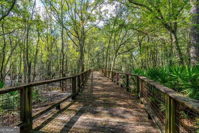 128 Satilla Bluffs Drive, Blackshear, GA 31516