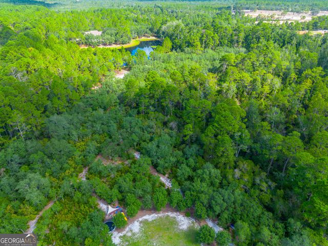 128 Satilla Bluffs Drive, Blackshear, GA 31516