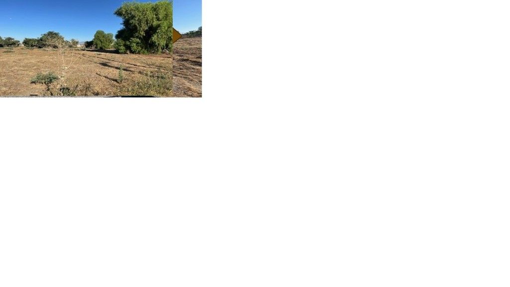 8428 Banana, Fontana, CA 92335 — photo 3