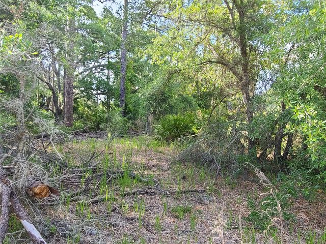 8436 N ERIN DRIVE, Crystal River, FL 34428