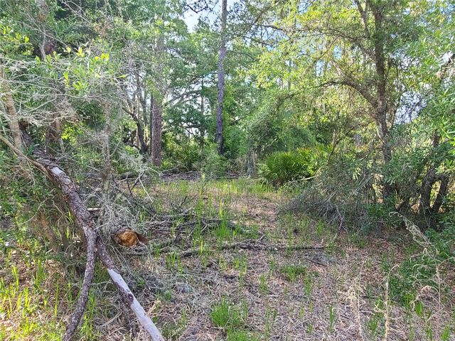 8436 N ERIN DRIVE, Crystal River, FL 34428