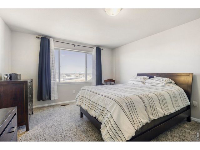 368 Littlebrook Ct, Windsor, CO 80550