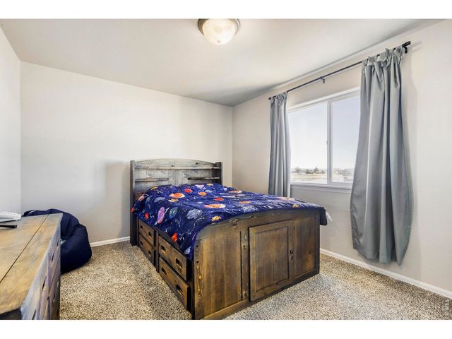 368 Littlebrook Ct, Windsor, CO 80550