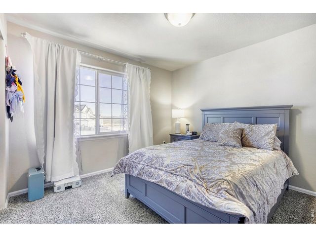 368 Littlebrook Ct, Windsor, CO 80550