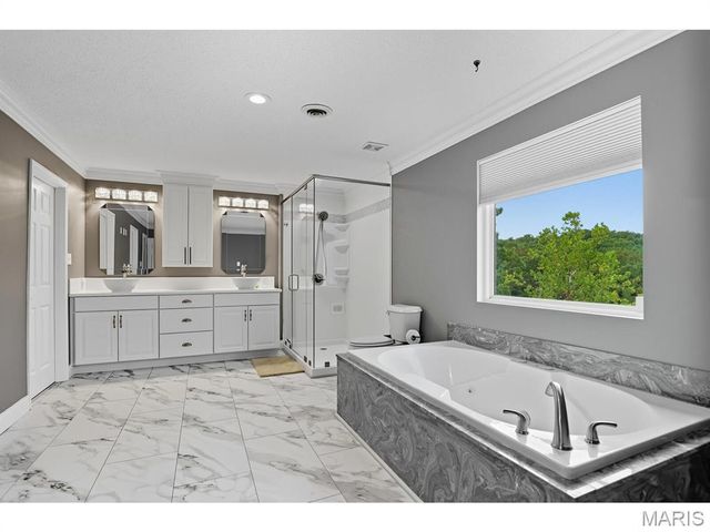 10104 Lake Ridge Court, Hillsboro, MO 63050