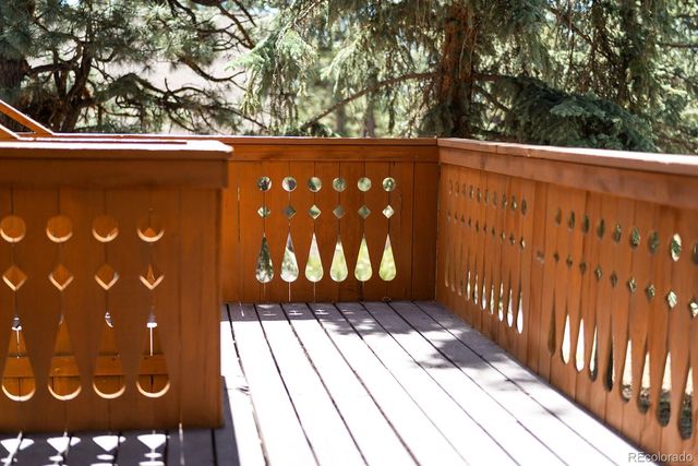 18525 Via Ponderosa Drive, Buena Vista, CO 81211