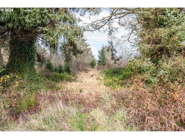 2990 40th St, Seaview, WA 98644