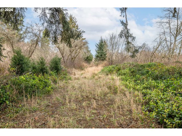 2990 40th St, Seaview, WA 98644