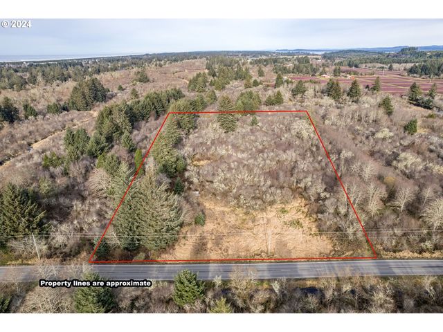 2990 40th St, Seaview, WA 98644