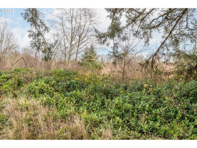 2990 40th St, Seaview, WA 98644