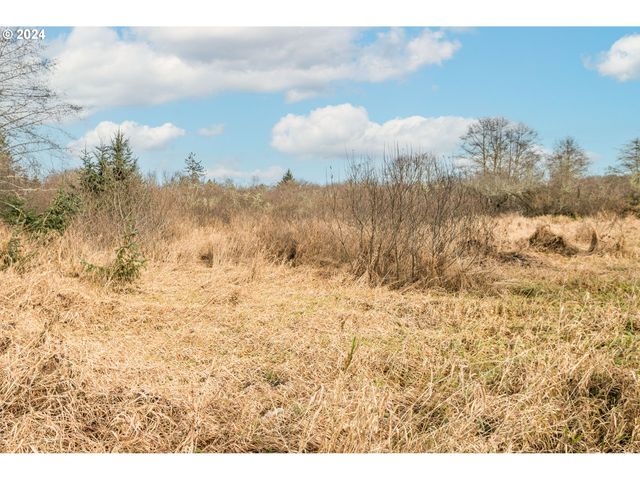 2990 40th St, Seaview, WA 98644