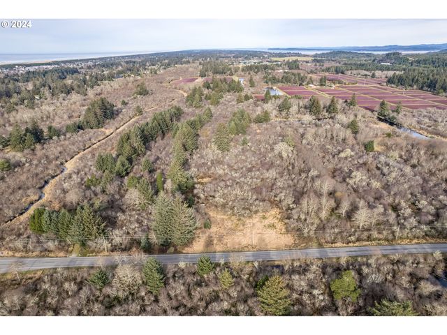 2990 40th St, Seaview, WA 98644