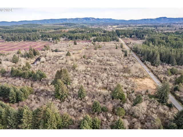 2990 40th St, Seaview, WA 98644