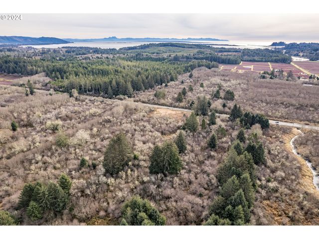 2990 40th St, Seaview, WA 98644
