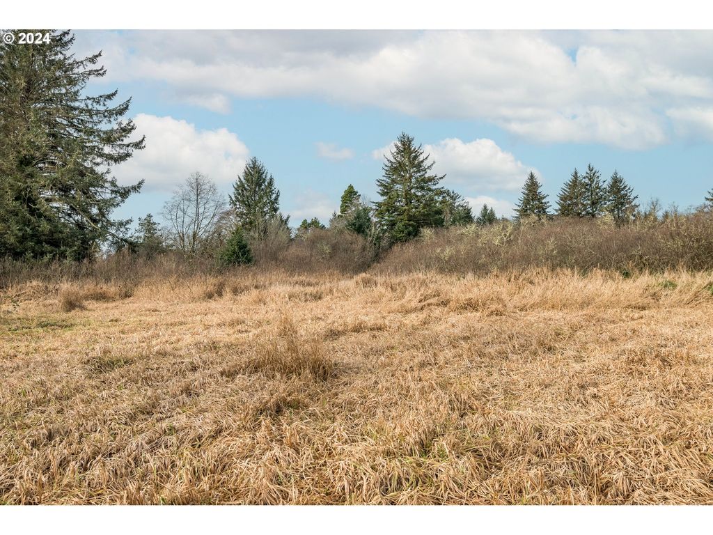 2990 40th St, Seaview, WA 98644