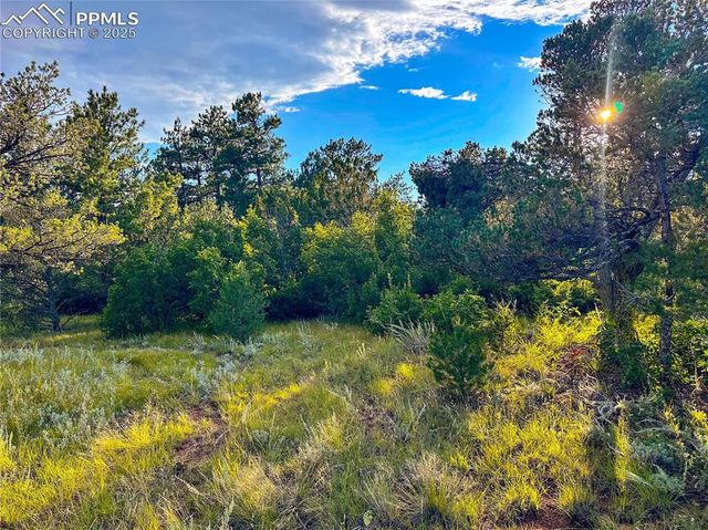 16116 Cala Rojo Drive, Colorado Springs, CO 80926