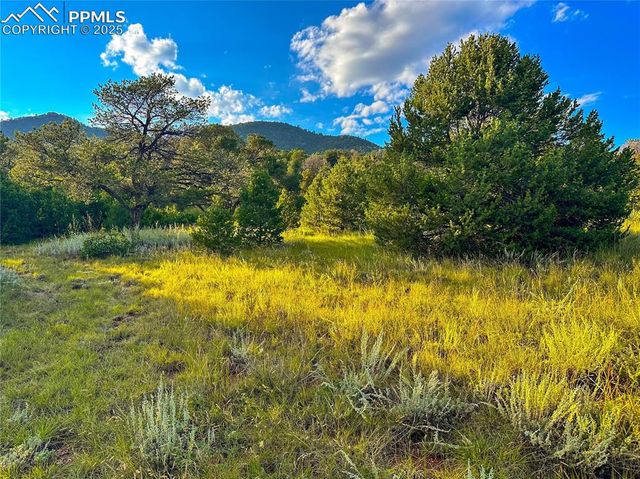 16116 Cala Rojo Drive, Colorado Springs, CO 80926