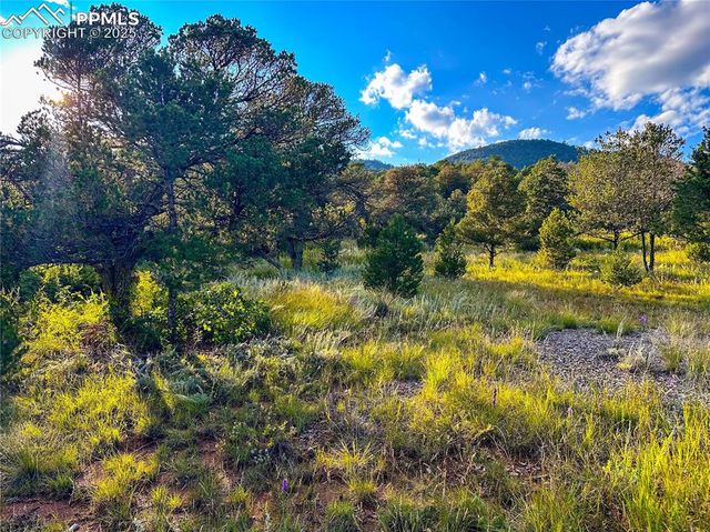 16116 Cala Rojo Drive, Colorado Springs, CO 80926