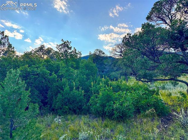 16116 Cala Rojo Drive, Colorado Springs, CO 80926