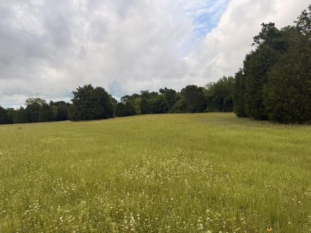 TBD County Road 2500, Eustace, TX 75124