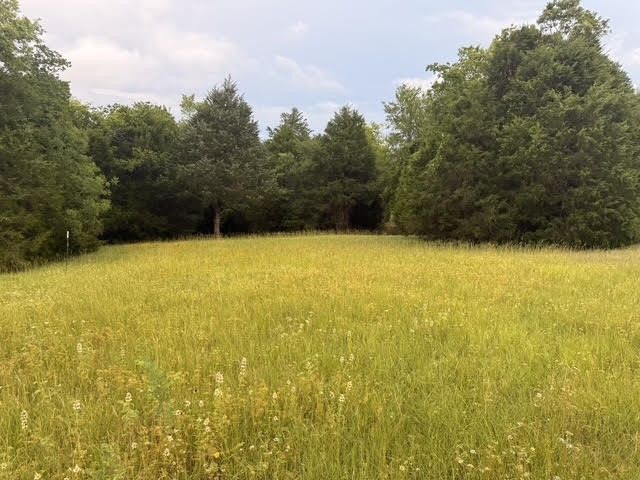TBD County Road 2500, Eustace, TX 75124
