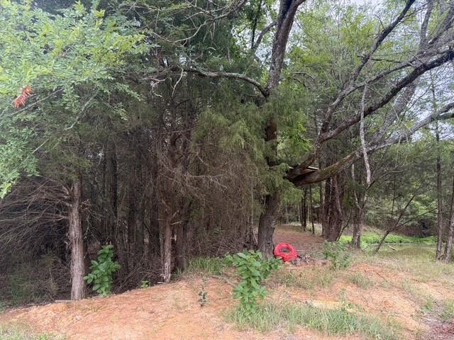 TBD County Road 2500, Eustace, TX 75124
