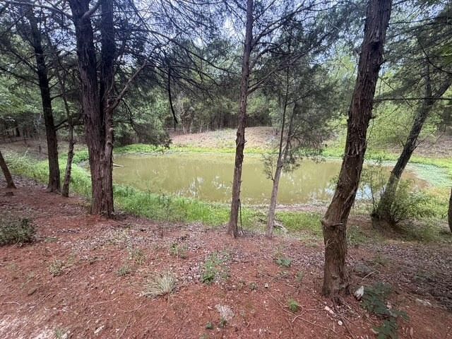 TBD County Road 2500, Eustace, TX 75124