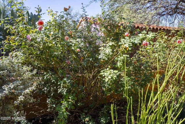 4 Barrio de Tubac Lane, Tubac, AZ 85646