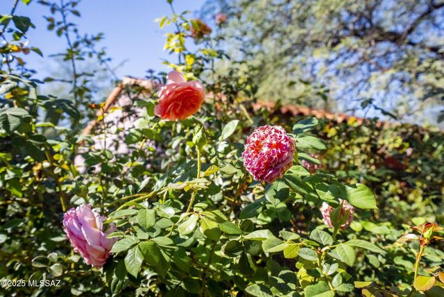 4 Barrio de Tubac Lane, Tubac, AZ 85646