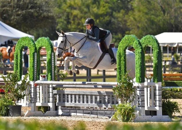 531 S Main Street 413, Alpharetta, GA 30009